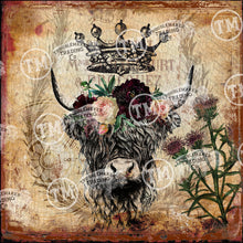 Highland Cow - Mini Frame