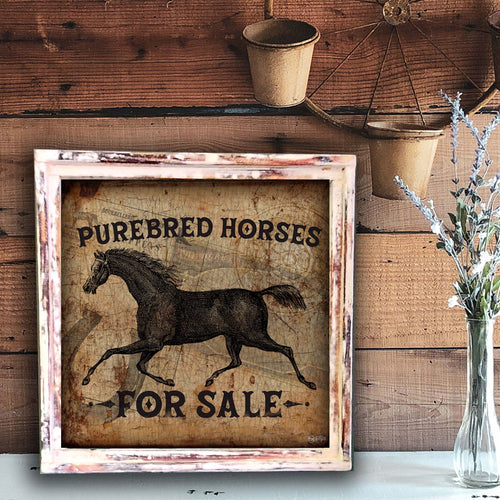 Purebred Horses - Square Framed Artwork