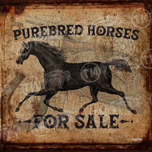 Purebred Horses - Square Framed Artwork