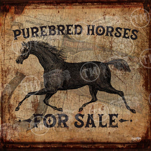 Purebred Horses - Square Framed Artwork