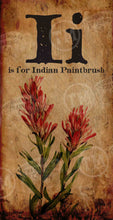 Indian Paintbrush - 18" x 36" Rectangle Artwork