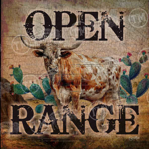 Open Range - Square Framed Artwork