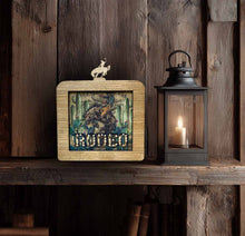 Rodeo Lights - Mini Frame