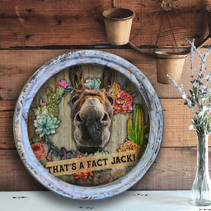 That's a Fact Jack! - Circle Artwork